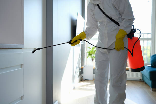 Best Commercial Mold Remediation in Ellenton, FL